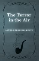 Cover von Terror in the Air