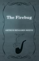 Cover von Firebug