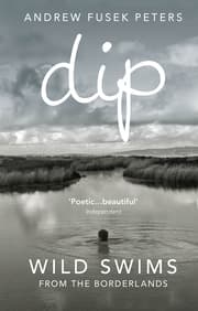 Cover von Dip