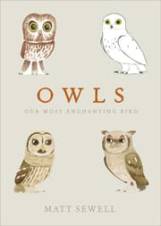 Cover von Owls