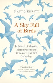 Cover von A Sky Full of Birds