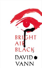 Cover von Bright Air Black