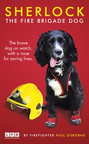 Cover von Sherlock: The Fire Brigade Dog