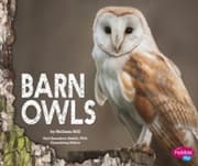 Cover von Barn Owls