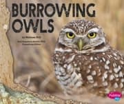 Cover von Burrowing Owls