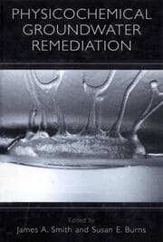 Cover von Physicochemical Groundwater Remediation