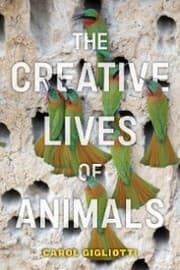 Cover von The Creative Lives of Animals