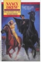Cover von Mystery of the Masked Rider