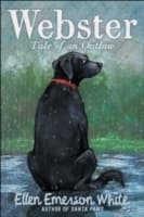 Cover von Webster
