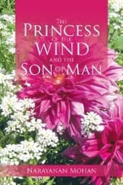 Cover von The Princess of the Wind and the Son of Man