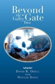 Cover von Beyond the Valley Gate Two