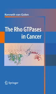 Cover von The Rho GTPases in Cancer