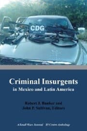 Cover von Criminal Insurgents in Mexico and Latin America