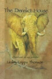 Cover von The Derelict House