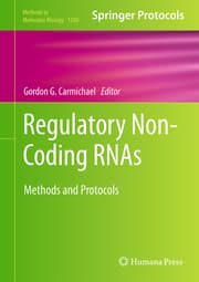 Cover von Regulatory Non-Coding RNAs