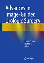 Cover von Advances in Image-Guided Urologic Surgery