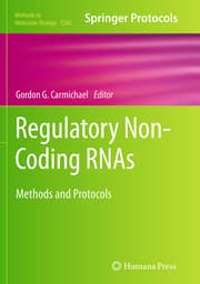 Cover von Regulatory Non-Coding RNAs