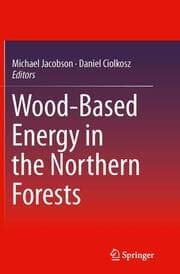 Cover von Wood-Based Energy in the Northern Forests