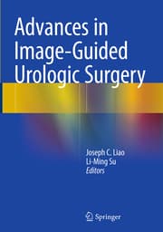 Cover von Advances in Image-Guided Urologic Surgery