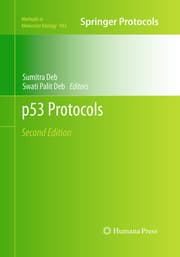 Cover von p53 Protocols