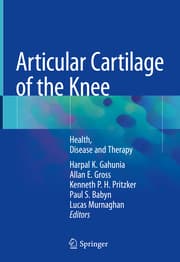 Cover von Articular Cartilage of the Knee