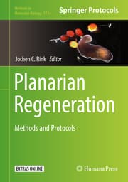 Cover von Planarian Regeneration