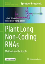 Cover von Plant Long Non-Coding RNAs