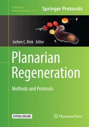 Cover von Planarian Regeneration