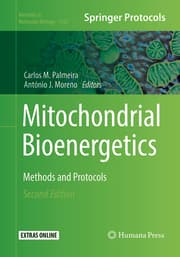 Cover von Mitochondrial Bioenergetics
