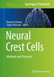Cover von Neural Crest Cells