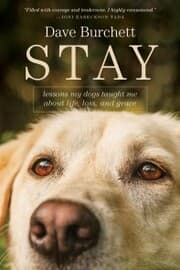Cover von Stay