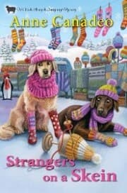 Cover von Strangers on a Skein