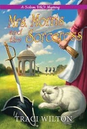 Cover von Mrs. Morris and the Sorceress