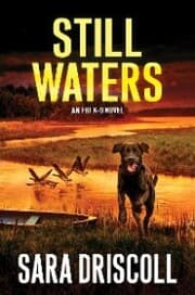 Cover von Still Waters