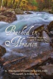 Cover von Bathed in Abrasion