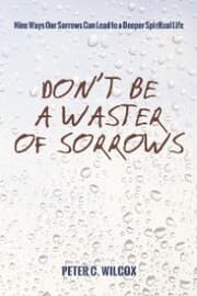 Cover von Don't Be a Waster of Sorrows