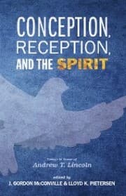 Cover von Conception, Reception, and the Spirit