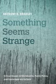 Cover von Something Seems Strange