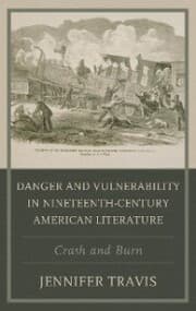 Cover von Danger and Vulnerability in Nineteenth-century American Literature