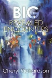 Cover von Big Revealed Encounters