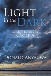 Cover von Light in the Dark