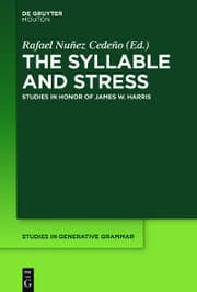 Cover von The Syllable and Stress