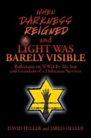 Cover von When Darkness Reigned and Light Was Barely Visible