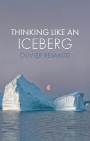Cover von Thinking Like an Iceberg
