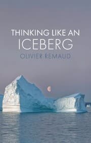 Cover von Thinking Like an Iceberg