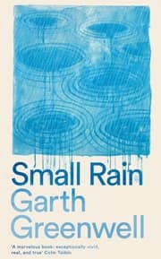 Cover von Small Rain