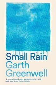 Cover von Small Rain