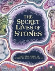 Cover von The Secret Lives of Stones
