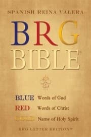 Cover von Brg Bible ® Spanish Reina Valera