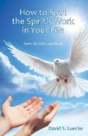 Cover von How to Spot the Spirit's Work in Your Life